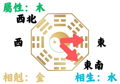 屬虎的房子座向|如何判別房子座向以及五行屬性